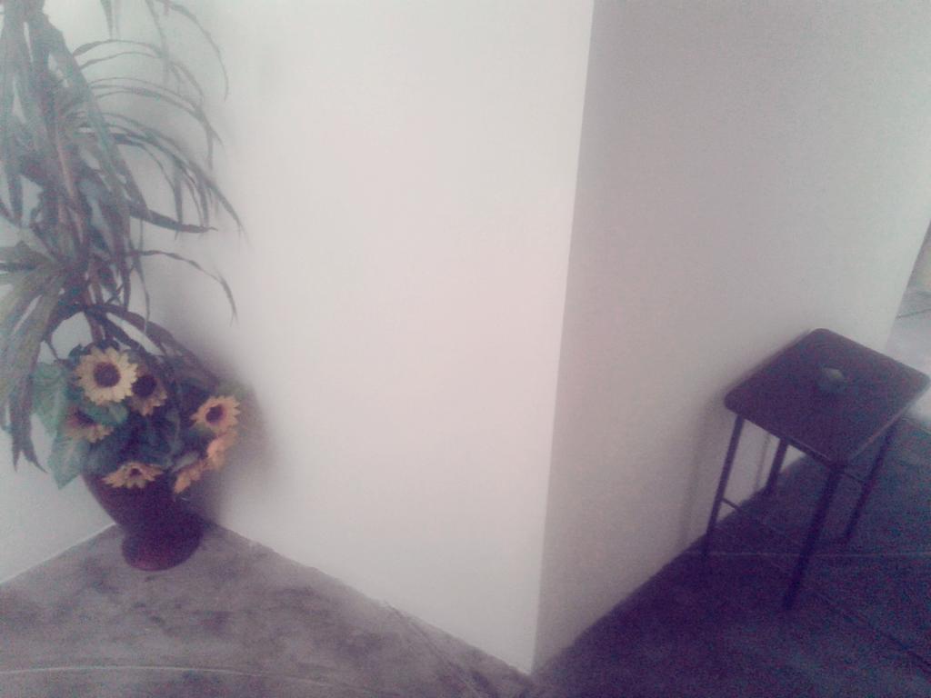 La Casa Del Che Fernando Apartment Lima Bagian luar foto
